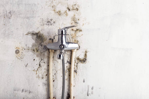  Larned, KS Mold Removal Pros