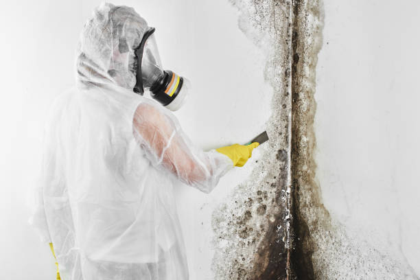 Larned, KS Mold Remediation Company