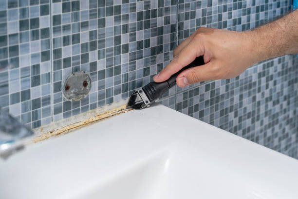 Best Mold Remediation for Specific Building Types in Larned, KS