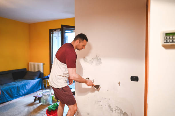 Best Localized Mold Remediation (e.g., coastal areas, humid climates) in Larned, KS