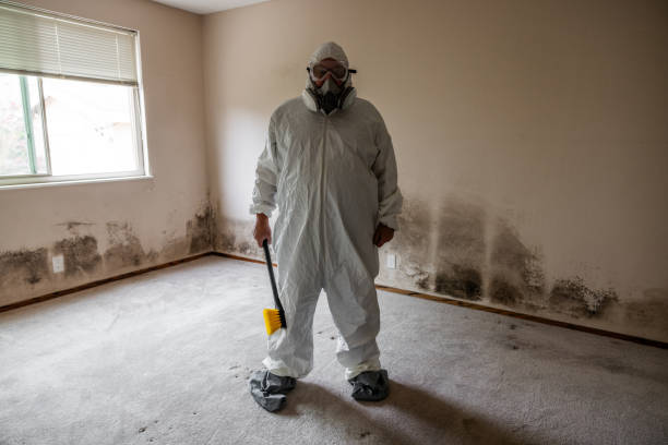 Best Residential Mold Remediation in Larned, KS