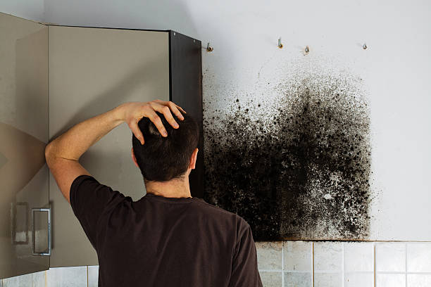 Best Bathroom Mold Remediation in Larned, KS